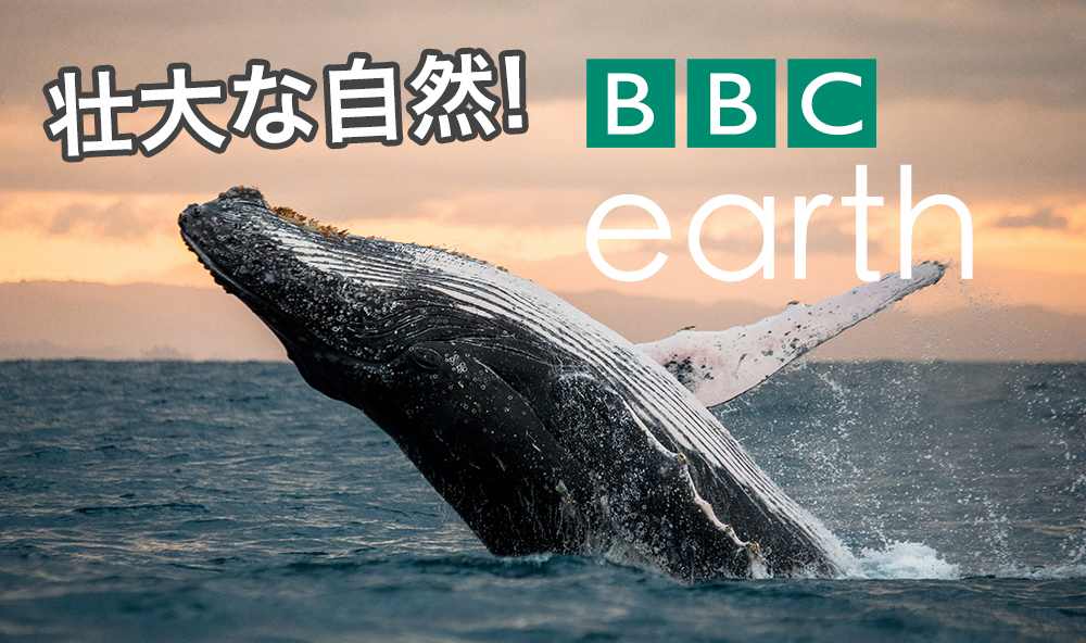 BBCの自然ドキュメンタリー番組『BBC Earth』シリーズが見応えたっぷり！